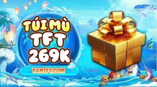 TÚI MÙ - 269K
